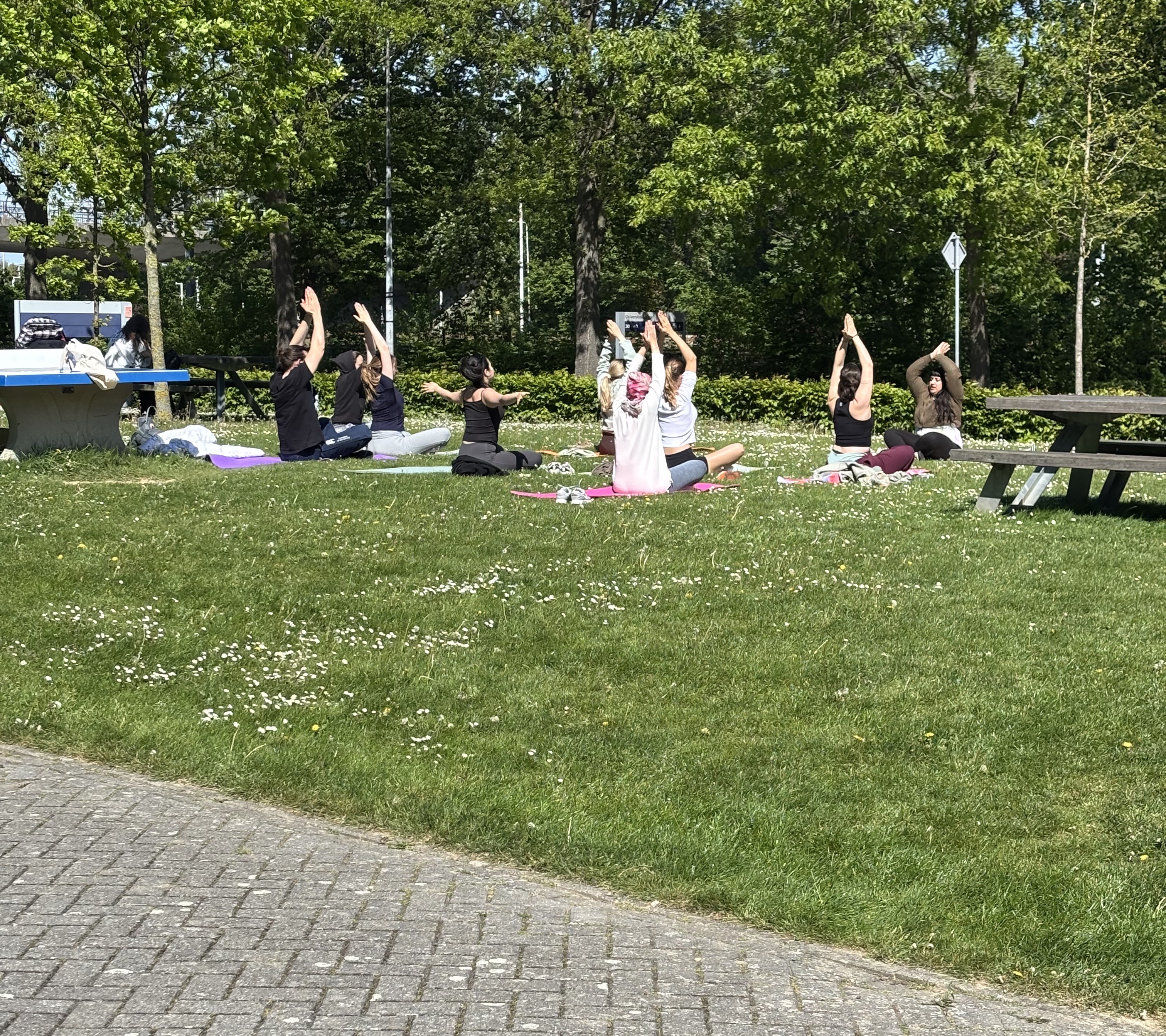 Outdoor Yoga